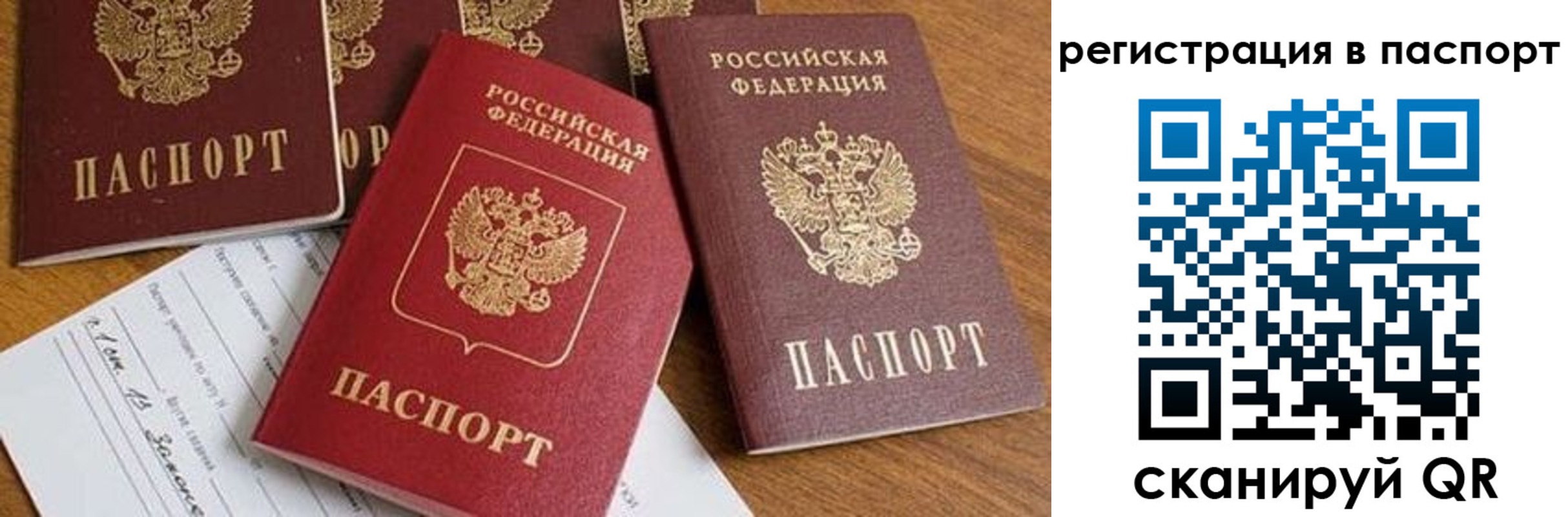 прописка в Советске